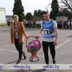 ves-kross-3