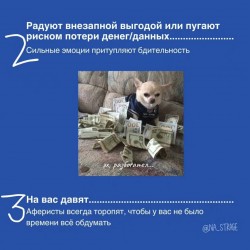 IMG-3c226db7c325c0b2d868649624e7a6fa-V