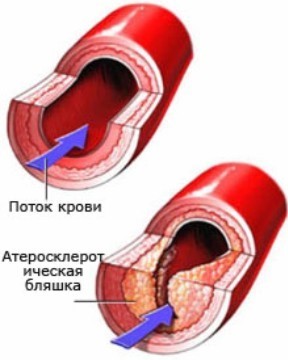hol09072021 2