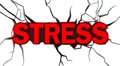 no stress09072021 1
