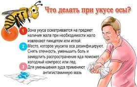 pomoc09092022 12